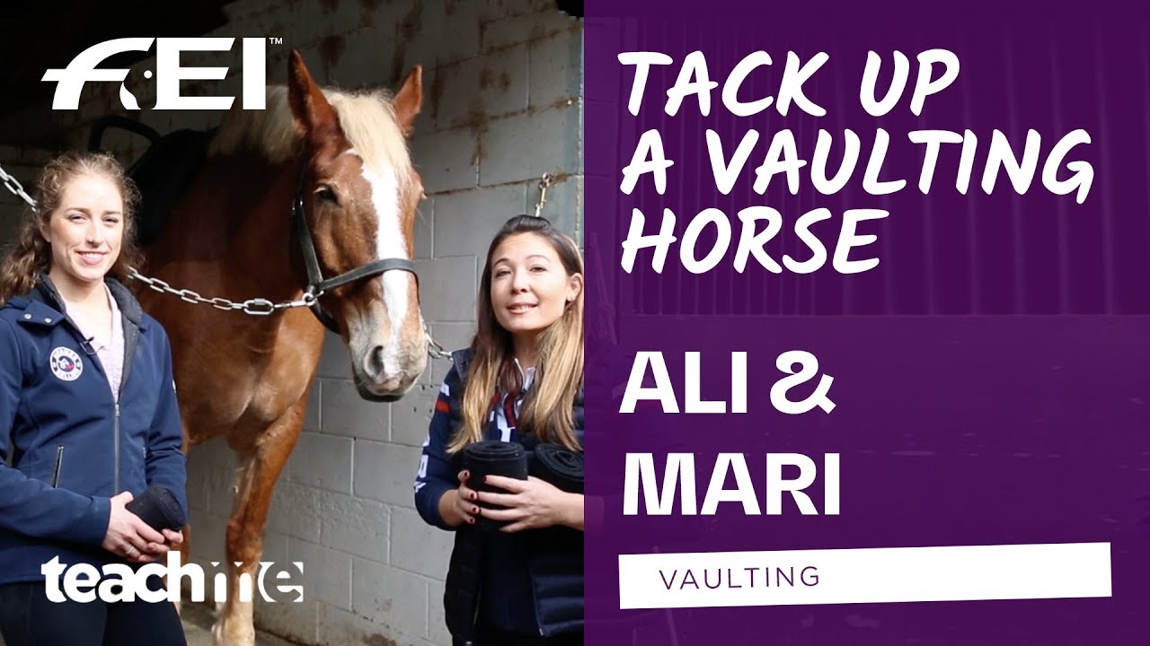 How to tack up a Vaulting horse feat Mari & Ali | FEI Teach Me