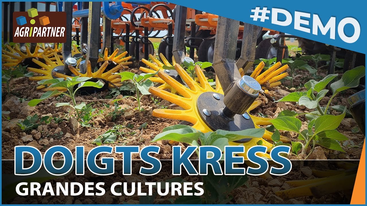 Doigts KRESS - d&eacute;mo et r&eacute;glage sur une parcelle de tournesol en BIO by Agripartner
