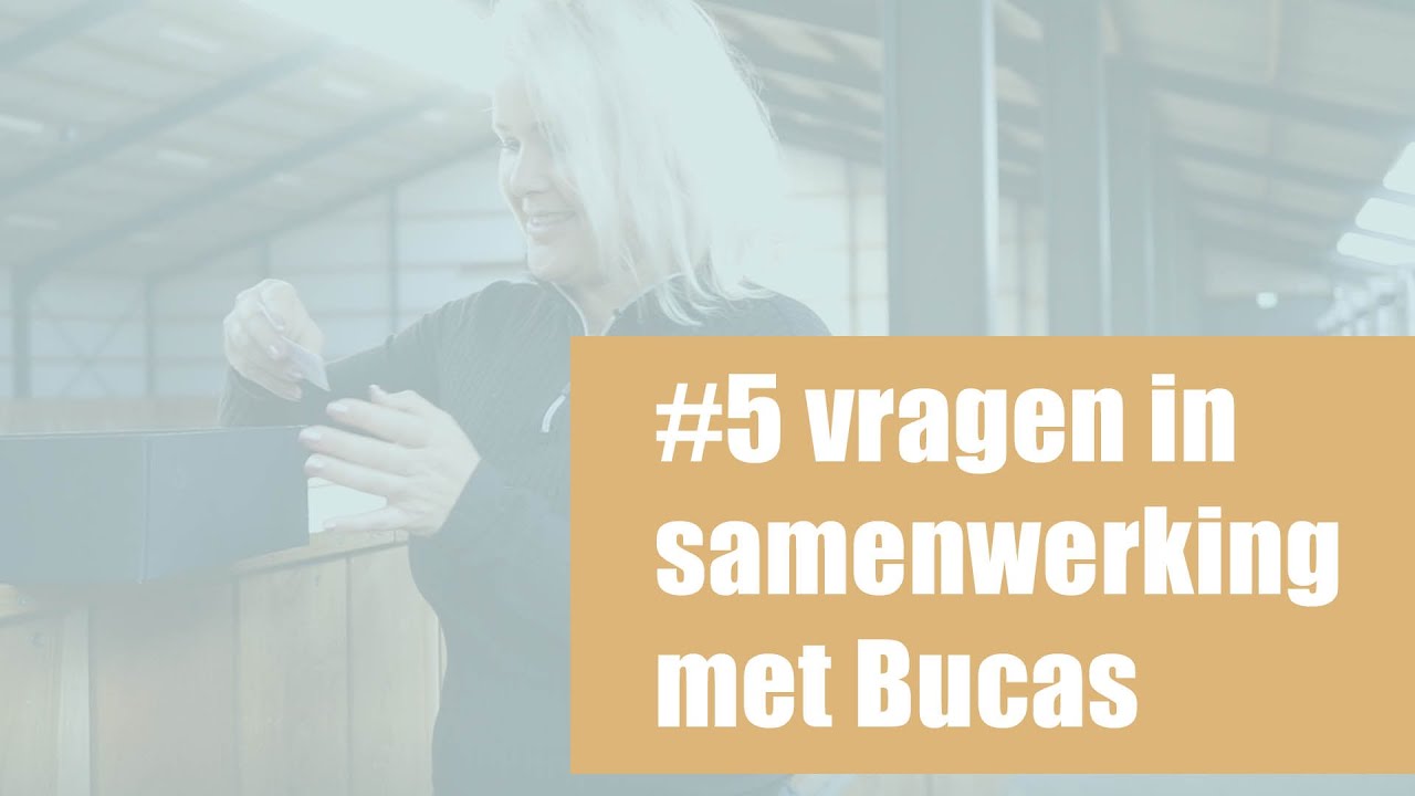 5 vragen over DressagePro en Bucas