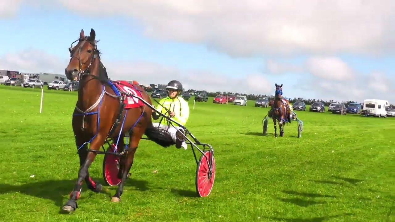 Synod Inn Harness Races 2022 Free for All Race