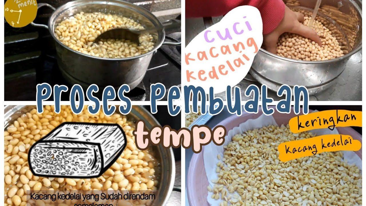 proses pembuatan tempe | Gagal?! ini penyebabnya..