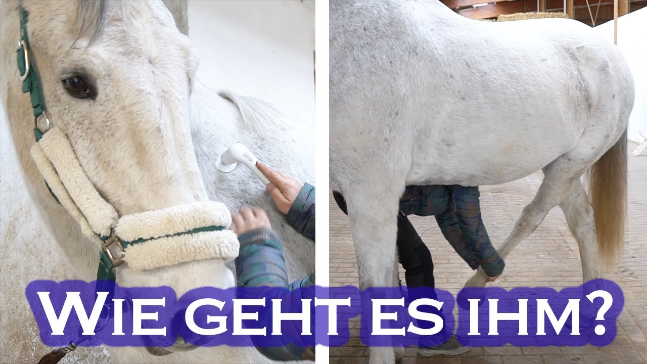 NACH VERLETZUNG wieder 1. Osteopathie | Wofür das Novafon?