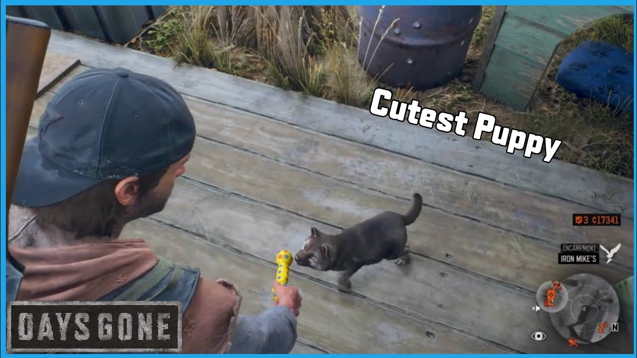 Days Gone - Cute Puppy Jack