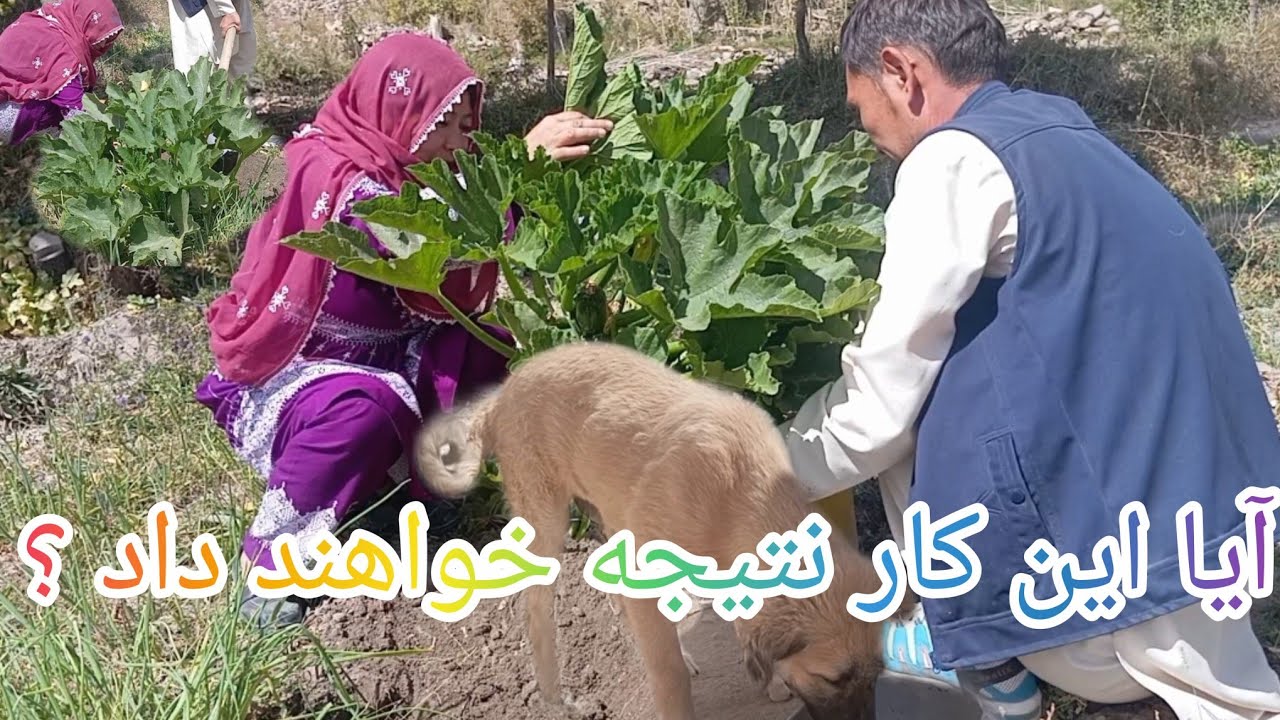 گل کاشتن من و ضیاگل در فصل خزان آیا این کار نتیجه خواهند داد ؟