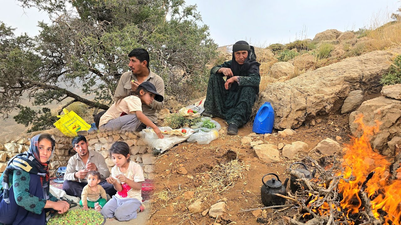 Amazing Nomadic Journey in Nature | Collecting Mountain Almonds|nomadic lifestyle