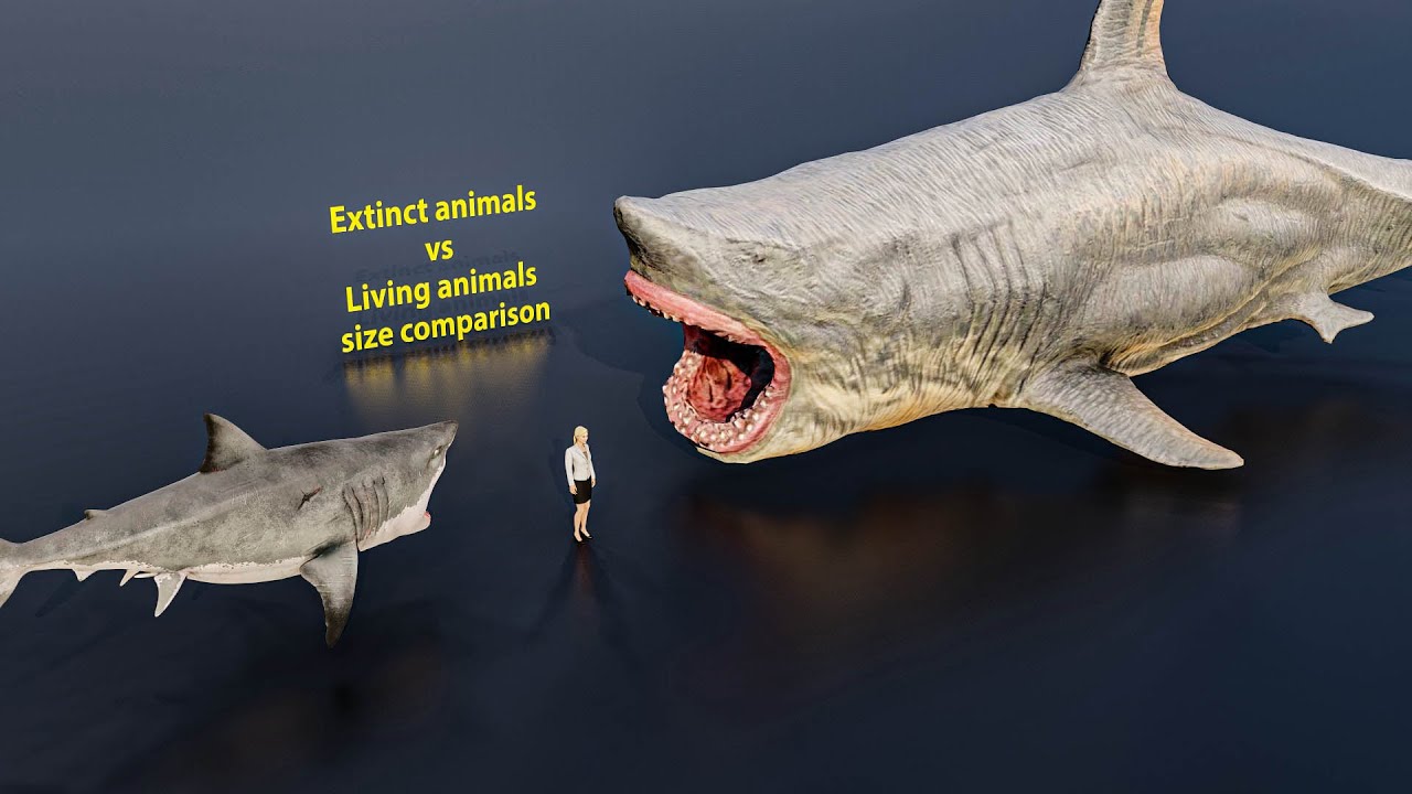 Extinct animals vs living animals size comparison 3D Animation
