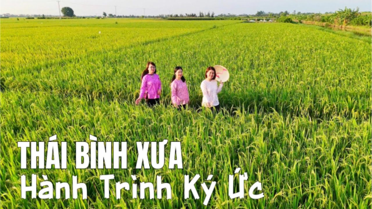 Hành Trình Thăm Lại Thái Bình Xưa | Nay Là Tỉnh Hưng Yên Đổi Mới | Dấu Ấn Một Vùng Đất