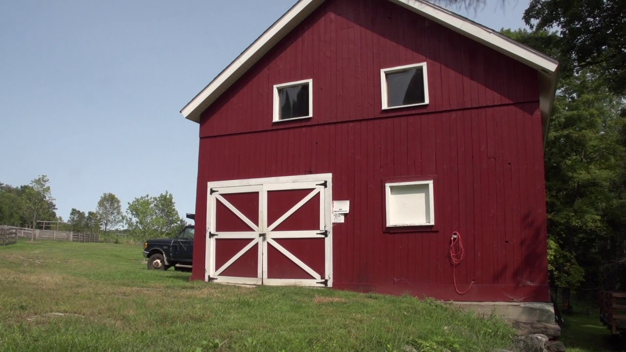 CVH Animal Sanctuary Tour