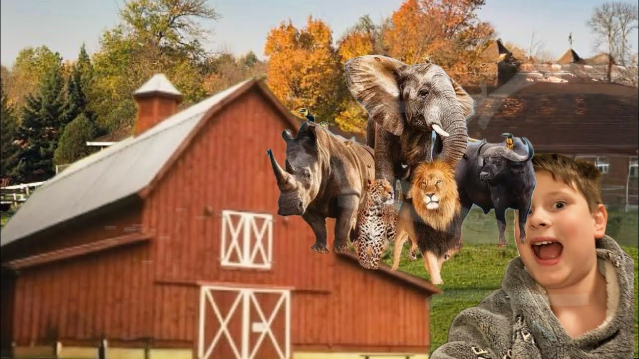 Today I went to the farm