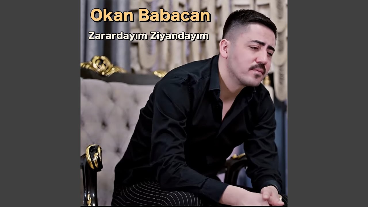 Zarardayım Ziyandayım