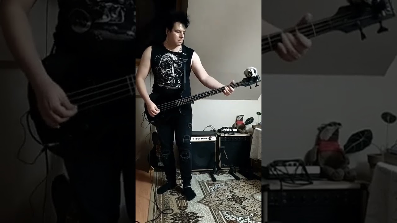 The Cure- Disintegration live Entreat 1990 bass cover