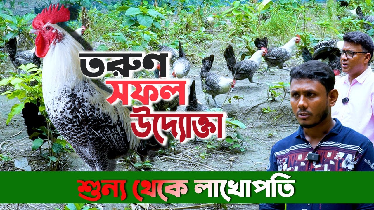 শুন্য থেকে লাখোপতি। তরুণ এই উদ্যোক্তা। ফাউমী ও দেশি মুরগি পালন করে