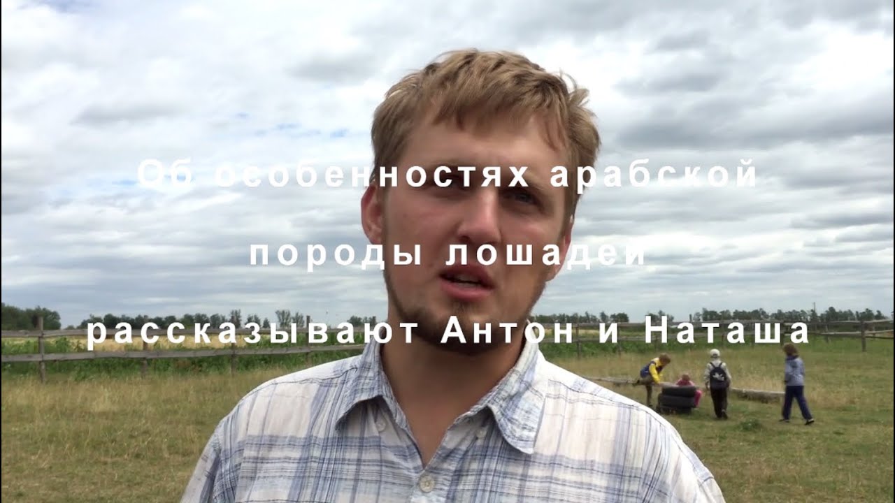об особенностях арабской породы лошадей рассказывают Антон и Наталья