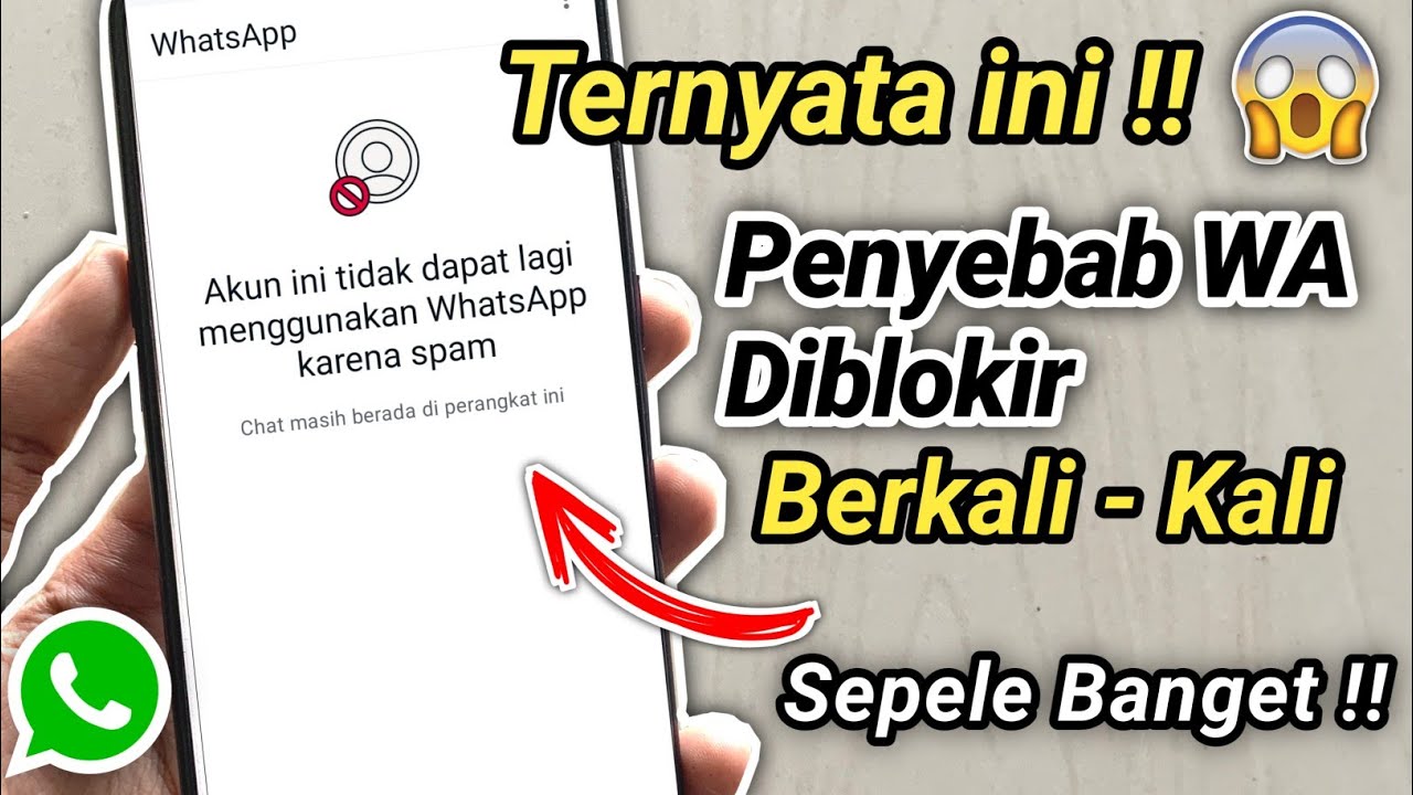 Penyebab Wa Terkena Spam Berkali kali || Wa kena Spam Terus Menerus