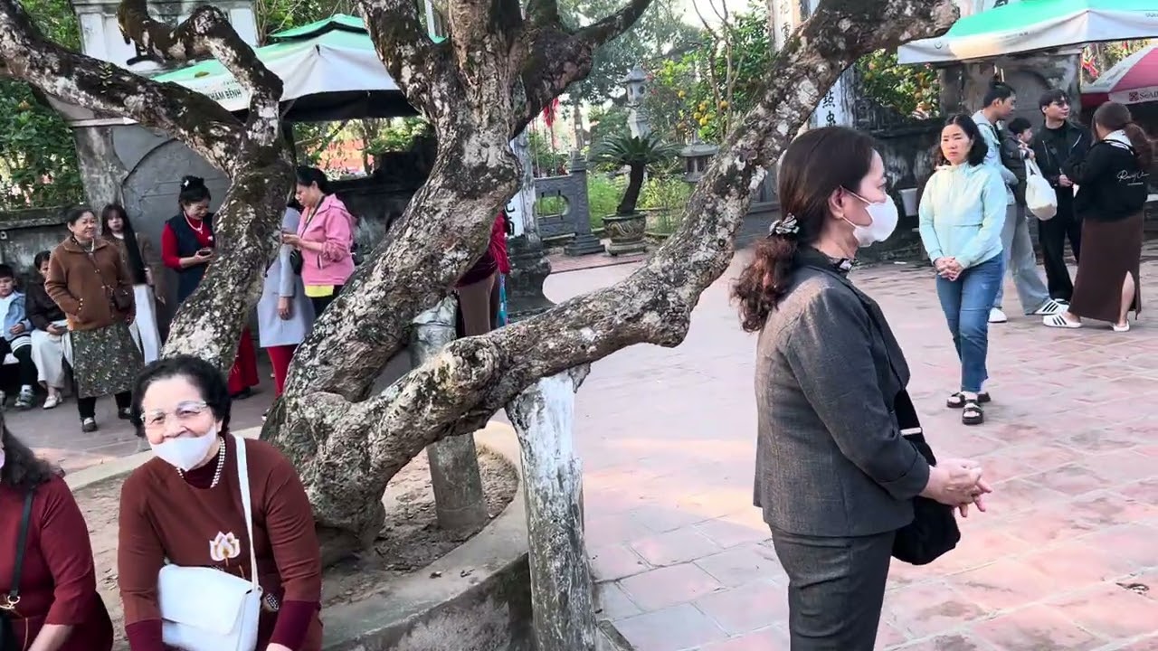 Đền Trần chuẩn bị lễ khai ấn 2026.