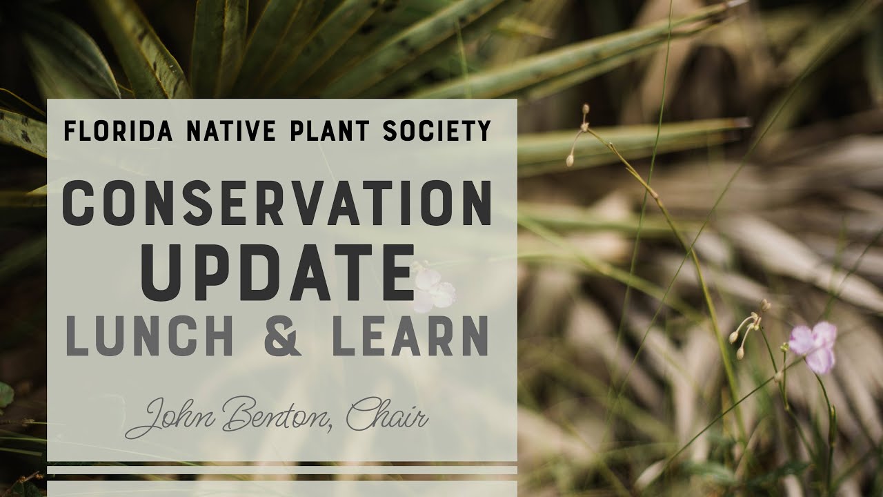 Conservation Update: Q4 2022