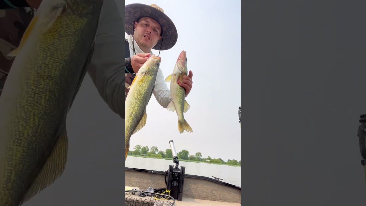 P&ecirc;che de fou ! #2023 #fishing #amazing #pourtoi #awesome