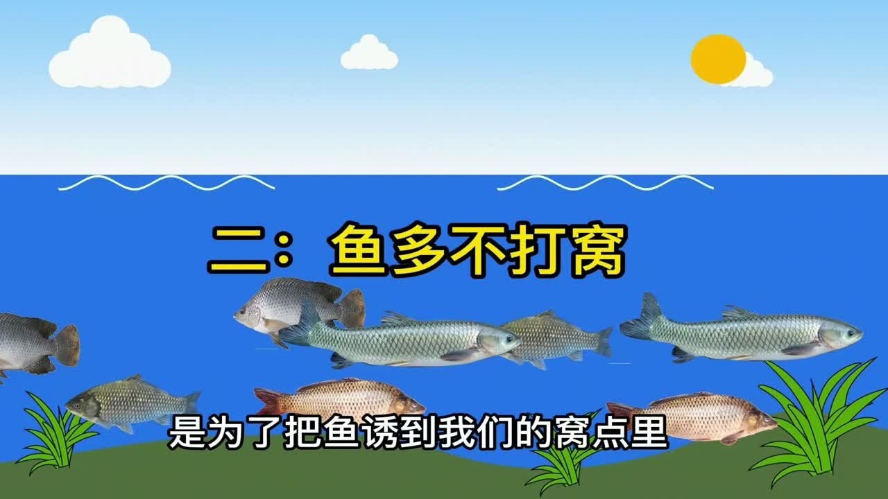 钓鱼打窝有讲究，分三打三不打，用对方法鱼获多，方法不对白打窝