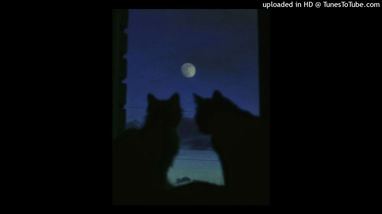 [FREE] shady moon x 1nonly Type Beat - 