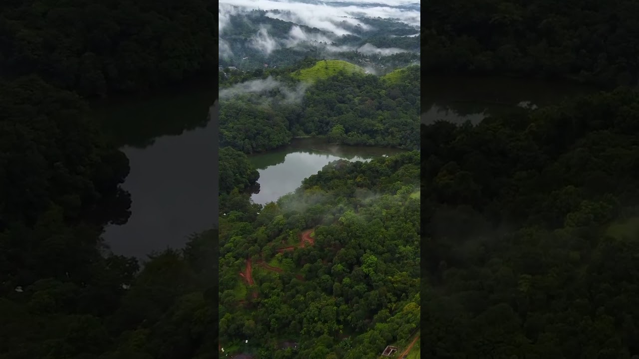 Wayanad | Kerala | Drone Shots | Telugu Travel Video