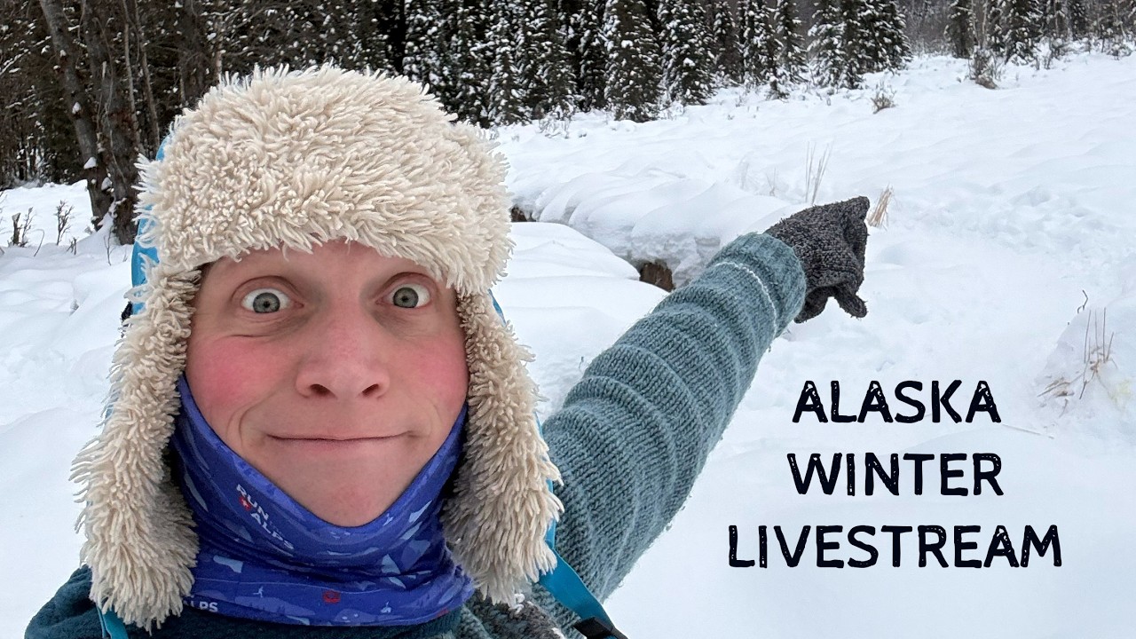 Come along as I paint winter animals in a wintery Alaskan place!