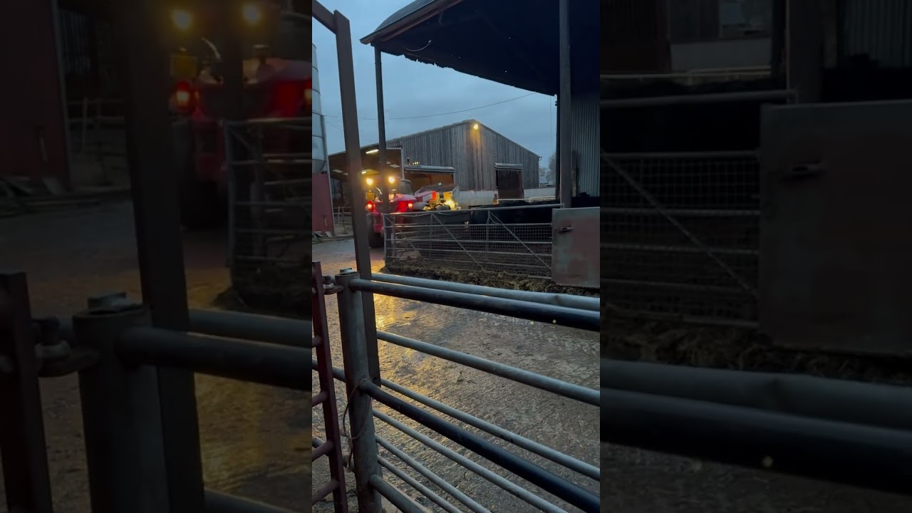 New toy, time to fill the beds back up 