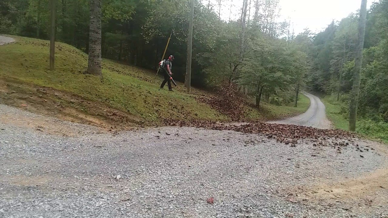 Stihl br700