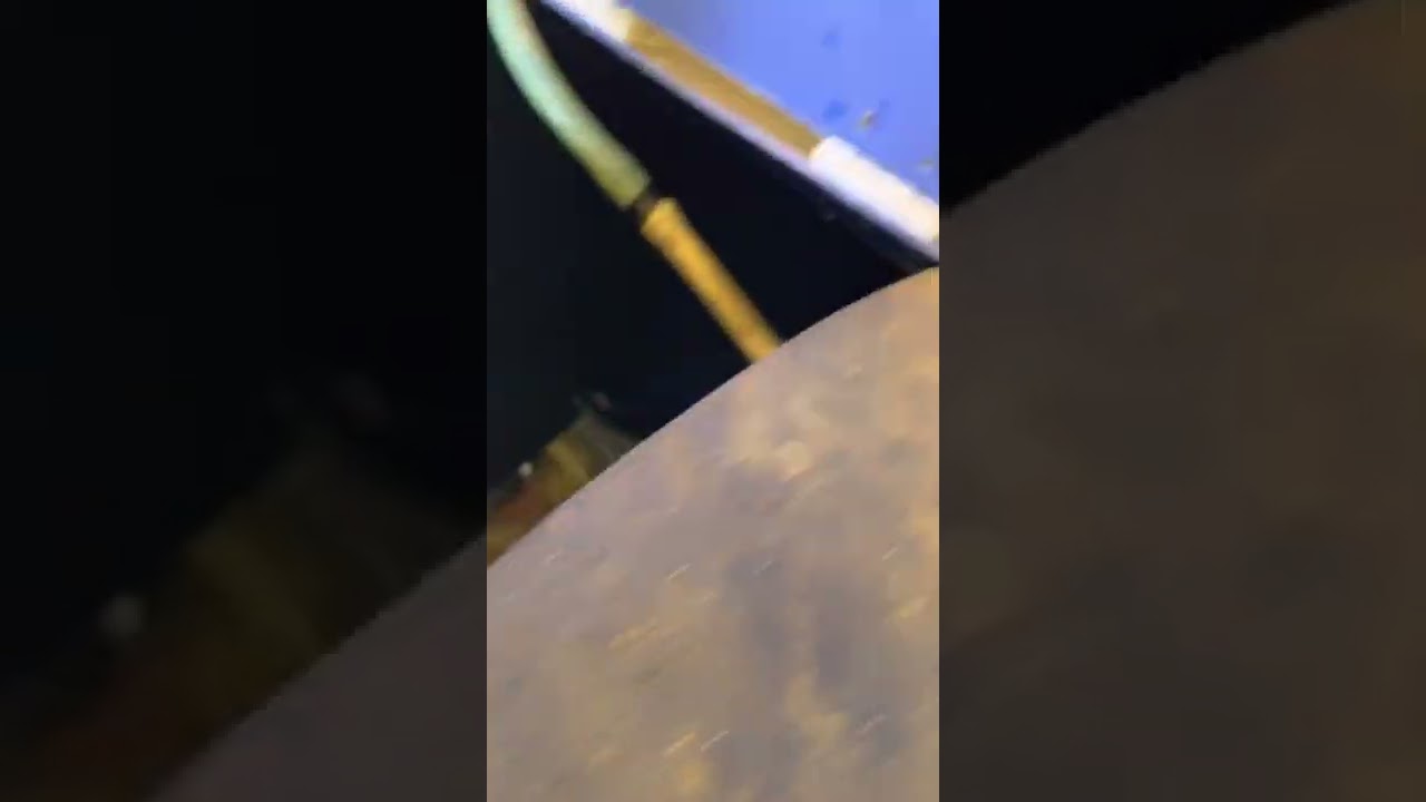 גידול מלפפונים  בהידרופוניקה בדליים הולנדיים