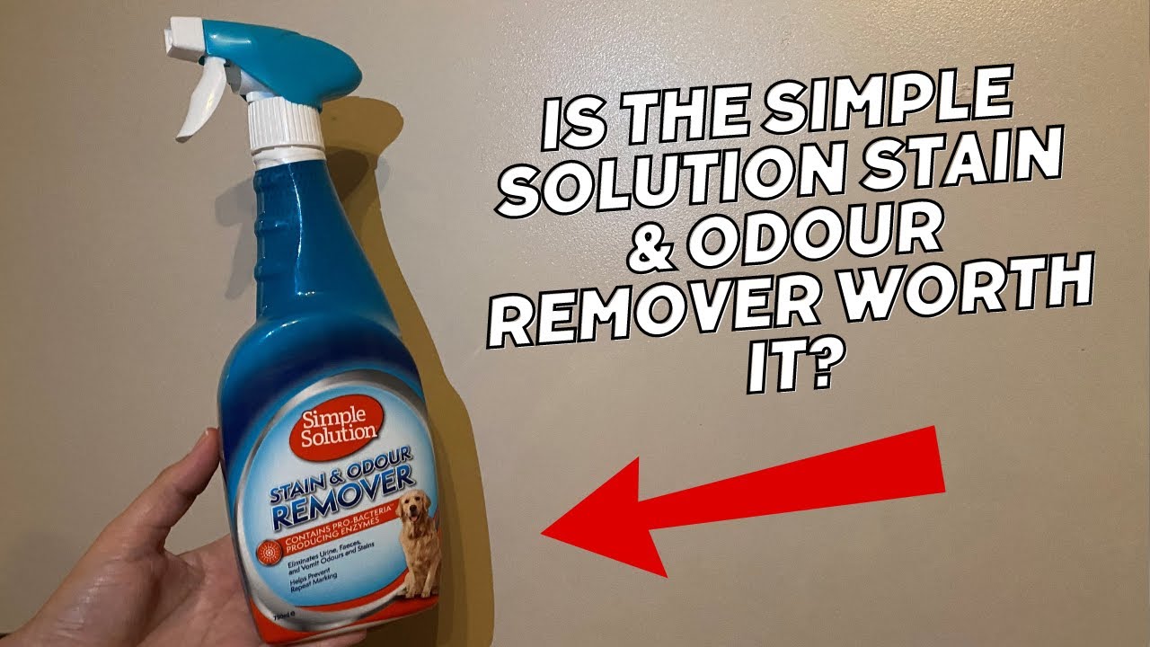 Demonstrating the Simple Solution pet stain and odour remover