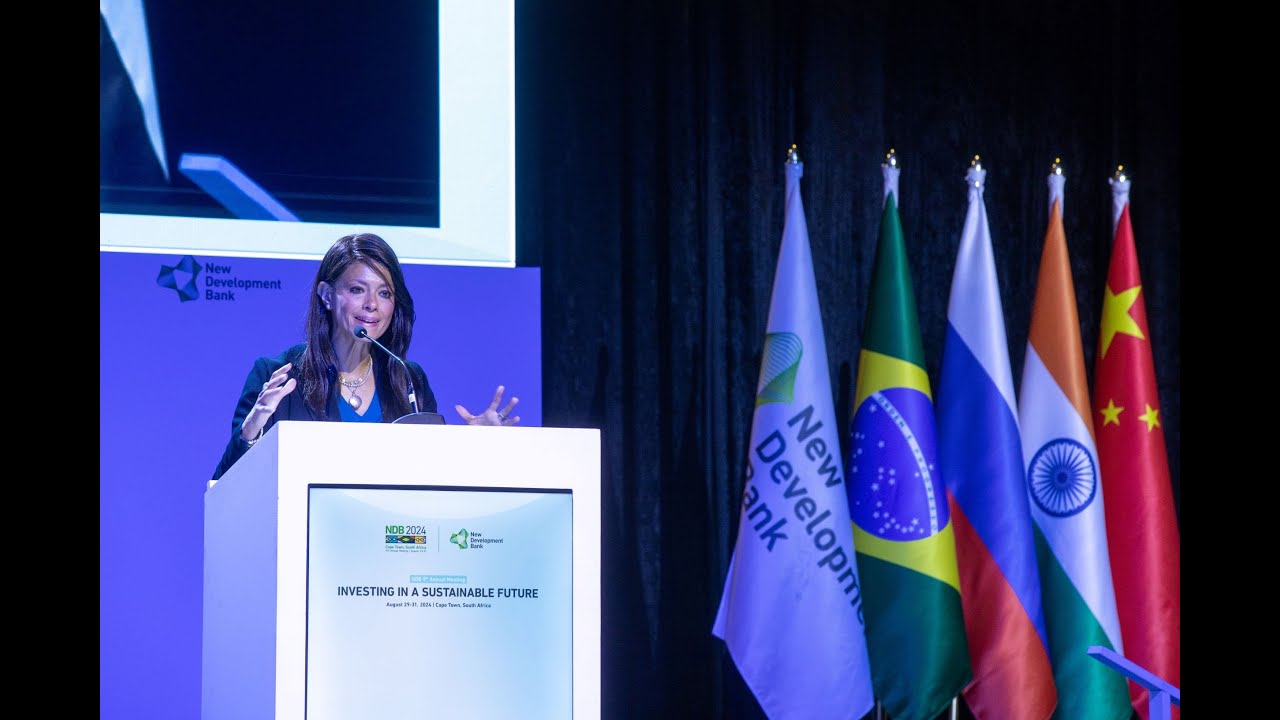 Seminar on Development Finance Institutions at the Forefront of Infrastructure Investment