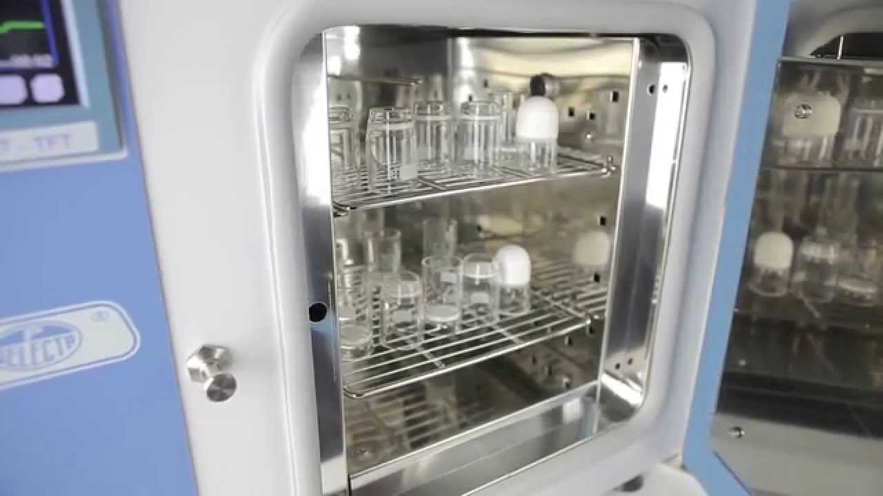 JP SELECTA - Drying and sterilization oven