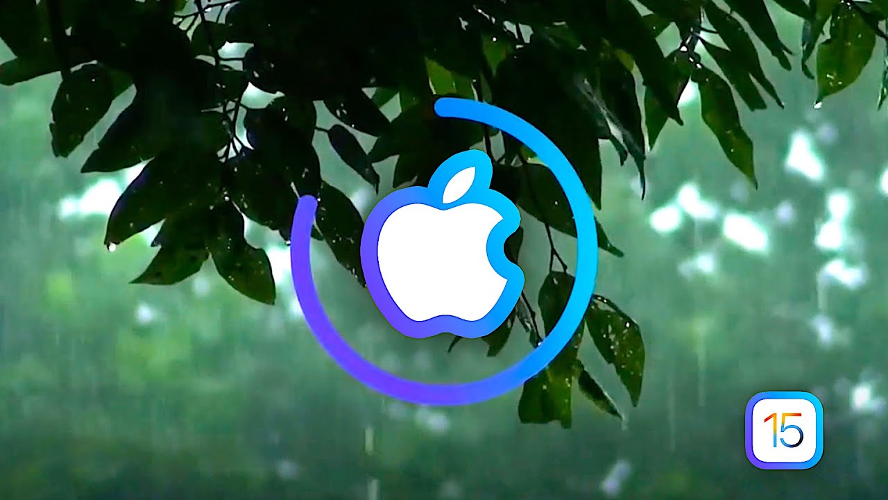 How To Turn On Background Sounds On iPhone [iOS 15]