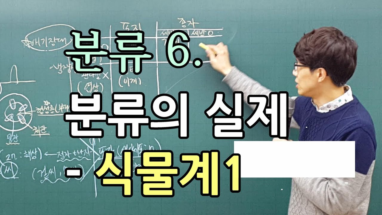 분류 6.  분류의 실제 -  식물계 (1) 분류의 기준과 특징