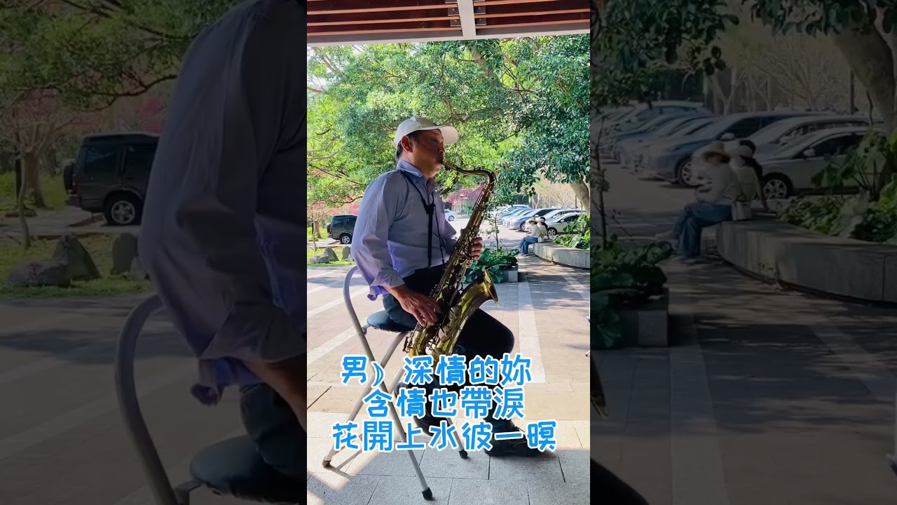 花開彼一暝～薩克斯風演奏（原唱：林秀琪&葉諾帆）