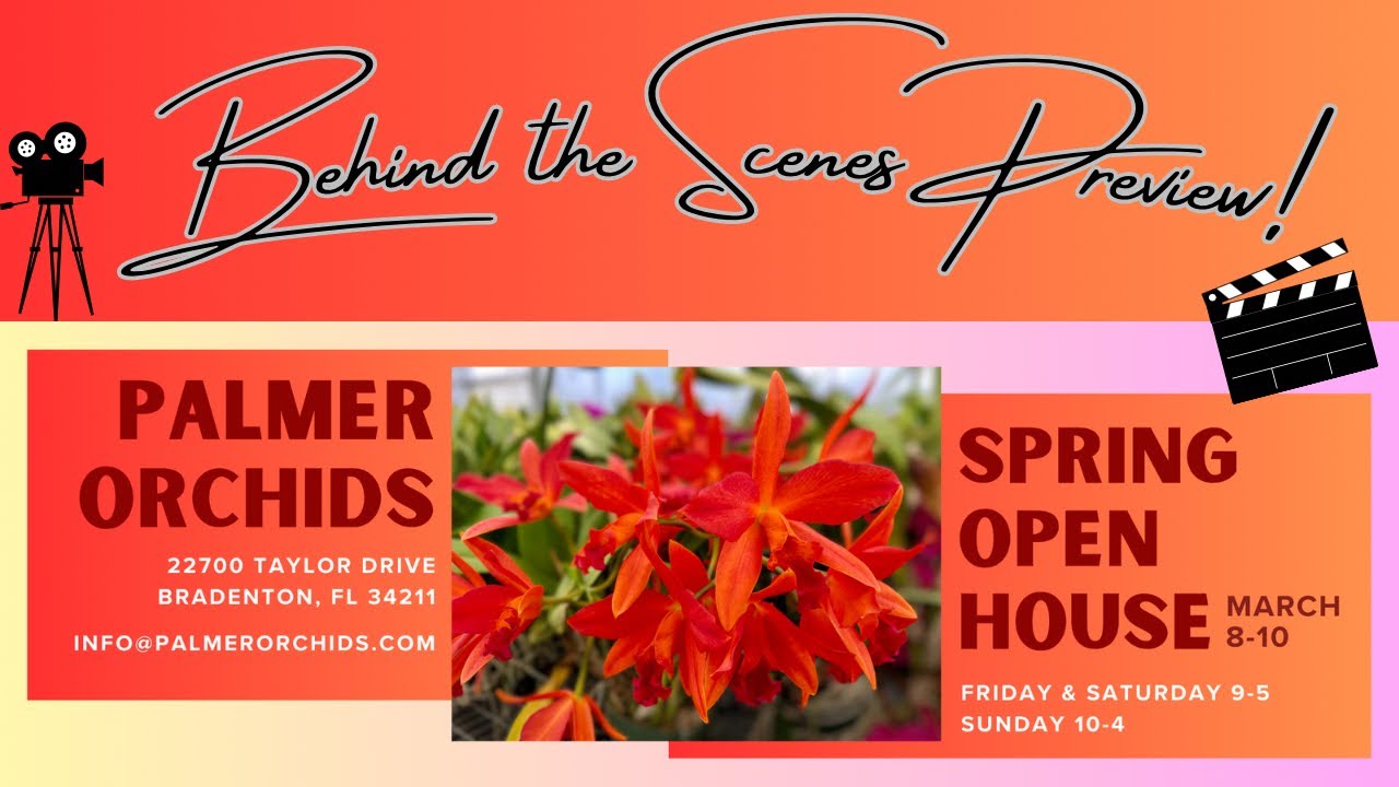 Palmer Orchids Spring Open House (Behind the Scenes) 🎬🪴✨🌸