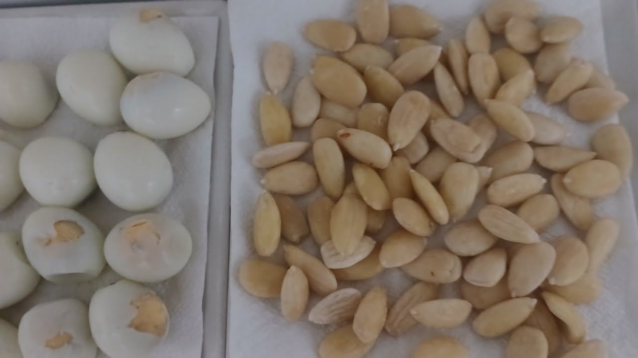 طاجين اللحم بالبرقوق والبيض روعة جدا ماشاء الله 