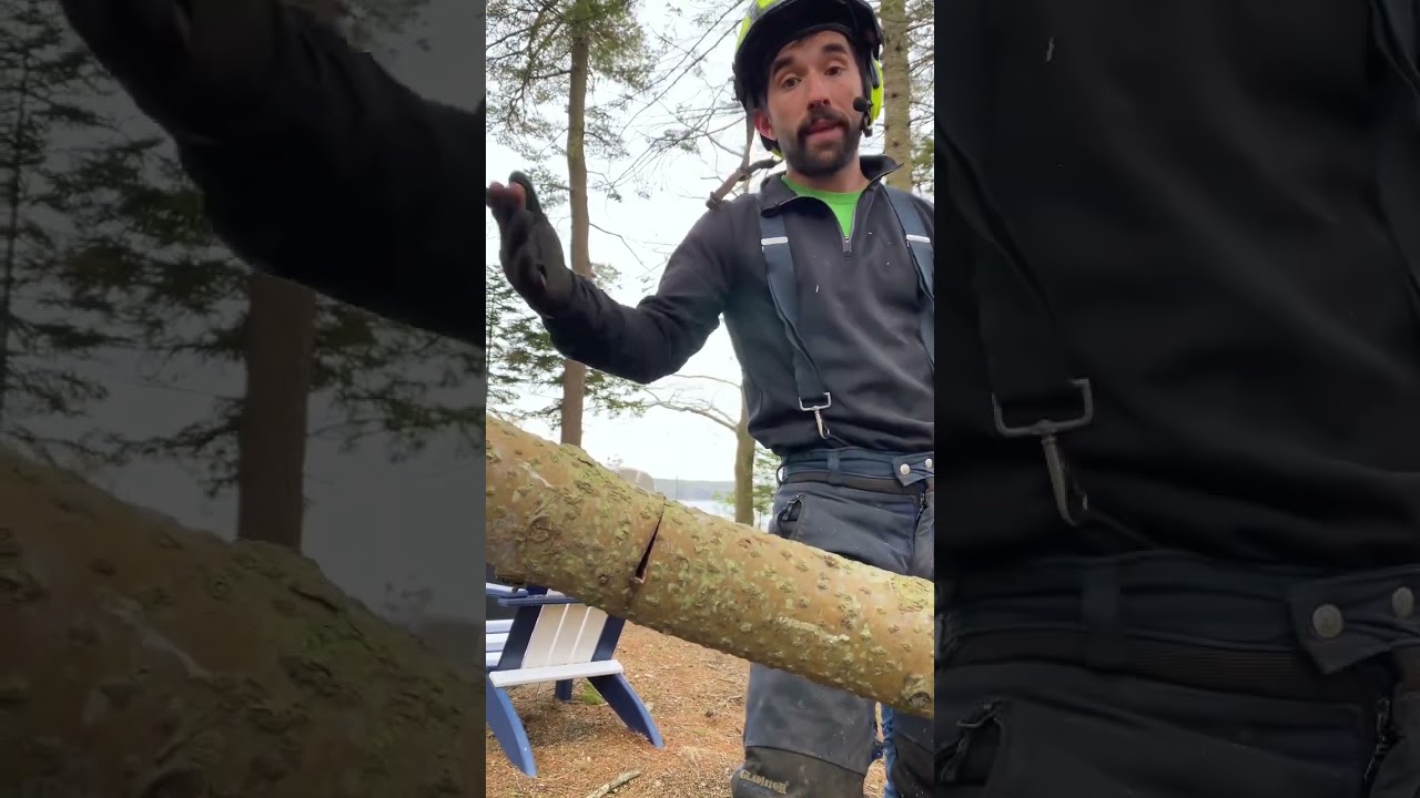 WHY YOUR CHAINSAW BAR KEEPS GETTING PINCHED #shorts