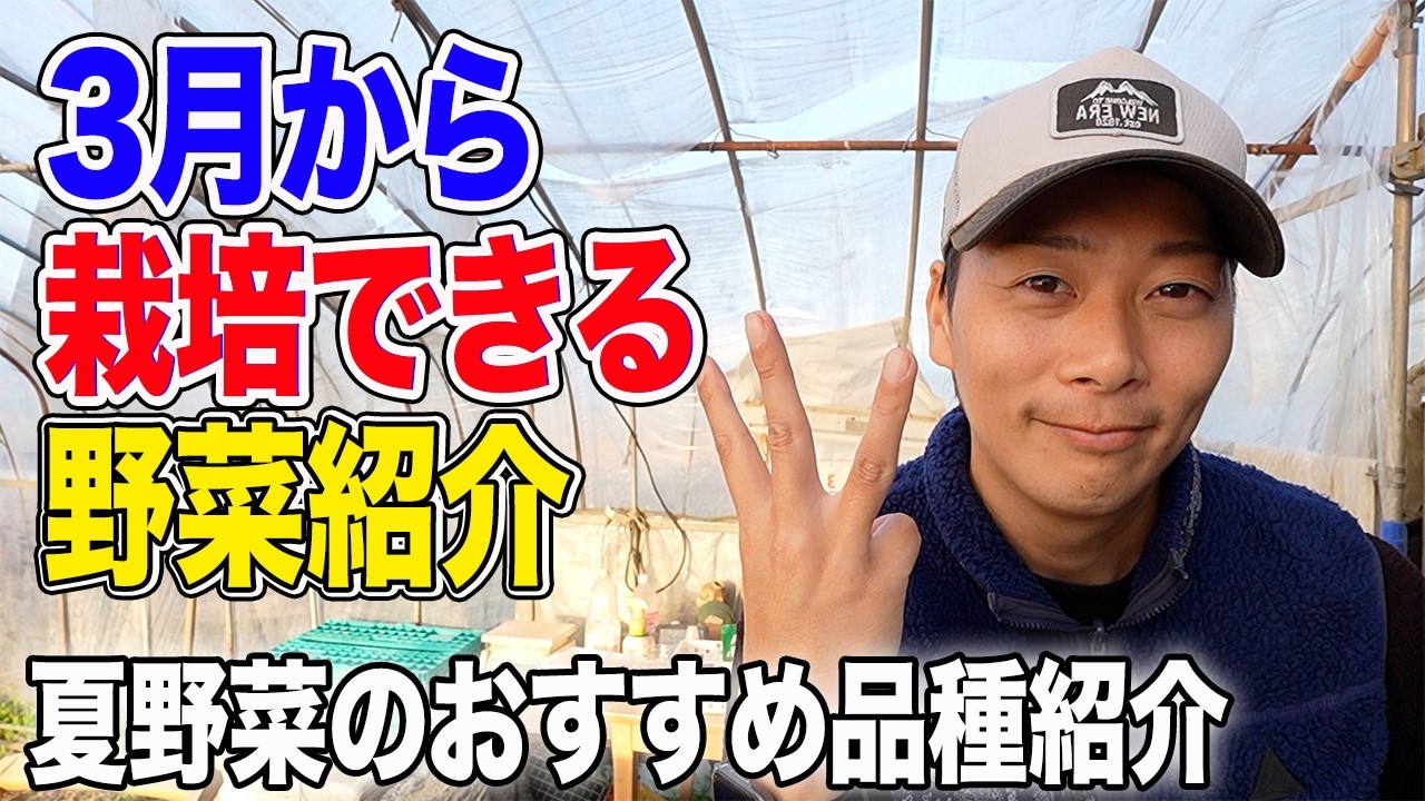 3月から栽培できる野菜紹介　夏野菜の紹介始めます！おすすめ品種はこれ【キュウリ・カボチャ・ズッキーニ・とうもろこし・ねぎ・大根】