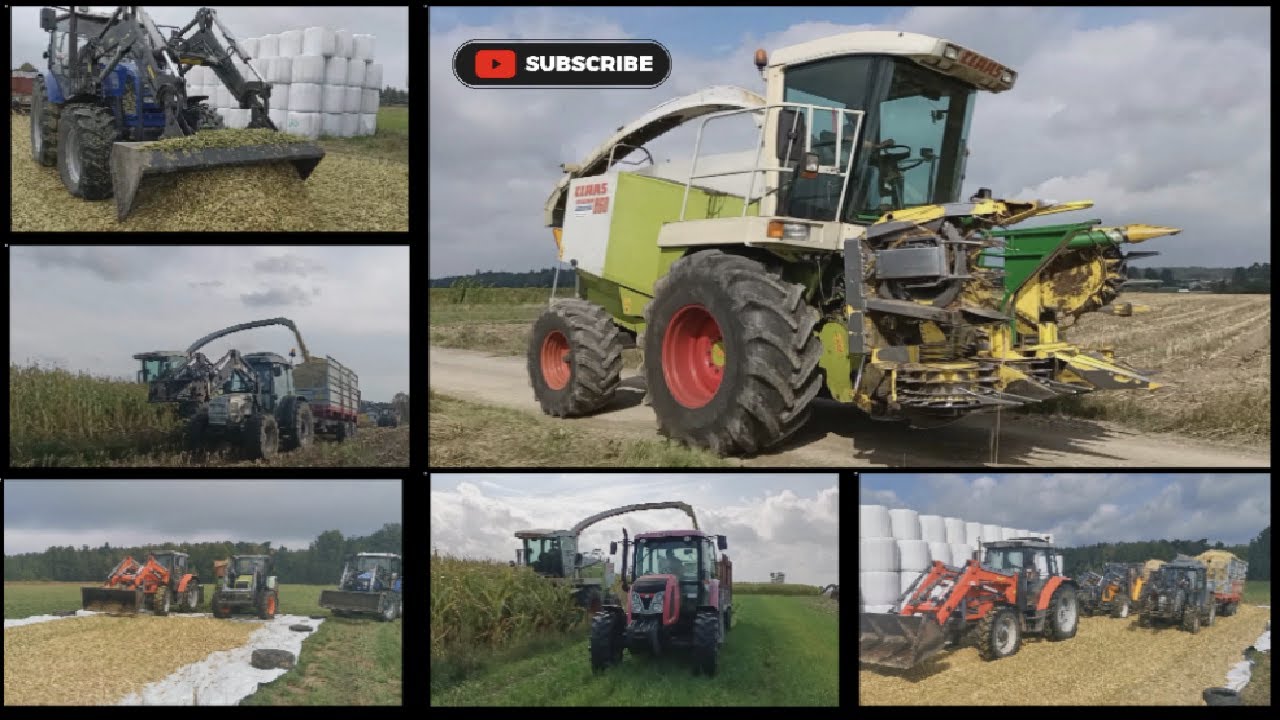 KUKURYDZA 2022 🌽 CLAAS JAGUAR 860 🚜 FARMTRAC, CLAAS, LAMBORGHINI, ZETOR, MASSEY FERGUSON, RENAULT🐄
