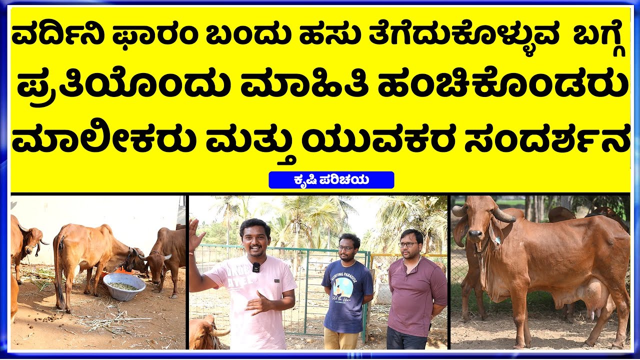 ಯಾರಿಗೆ ಎಷ್ಟು ಹಸುಗಳು ಬೇಕು ?  ಗಿರ್ ಹಸು,  ಸಹಿವಾಲ್ , ಹಳ್ಳಿಕಾರ್, ಮಲ್ನಾಡ್ ಗಿಡ್ಡ ,ಕಾಂಕ್ರೇಜ್ , ಪ್ರಾಚೀನ ತಳಿ