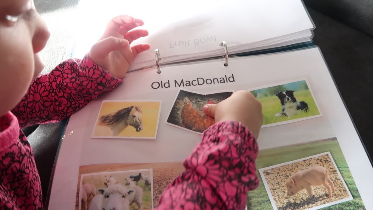 Inside our TODDLER LEARNING ACTIVITY FOLDER/BUSY BOOK BINDER for 1- 2 year olds (preschool prep)