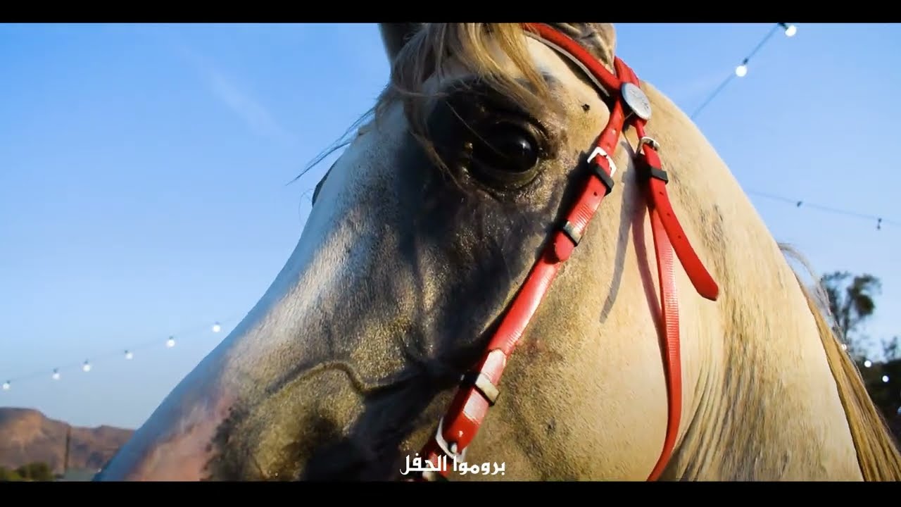 حفل ختان | حمد و تركي بن مانع ال زبر و علي بن مساعد بن زيدان ال زبر