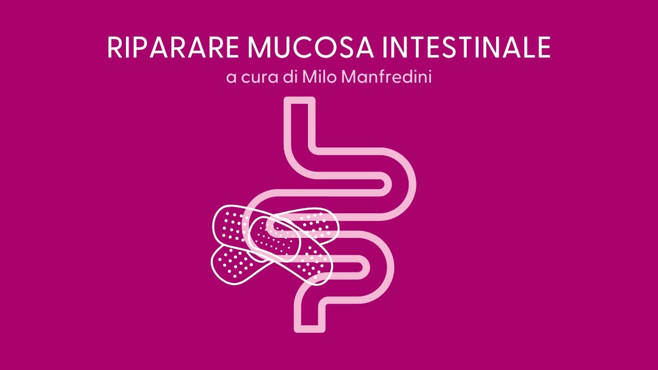 INTESTINO PERMEABILE: INFIAMMAZIONE CRONICA, DISBIOSI E MALATTIE SISTEMICHE