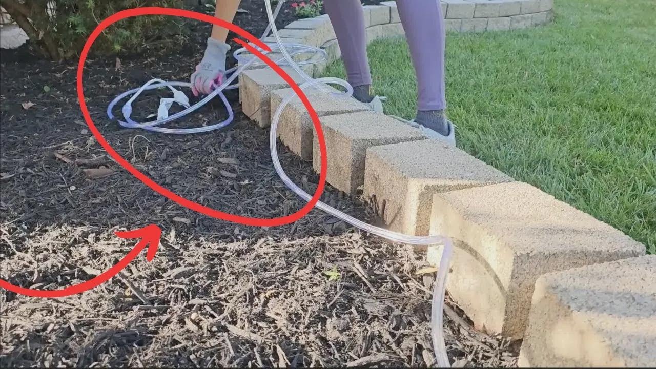 So beleuchten jetzt alle ihren Garten – die geniale Sommer-Idee!
