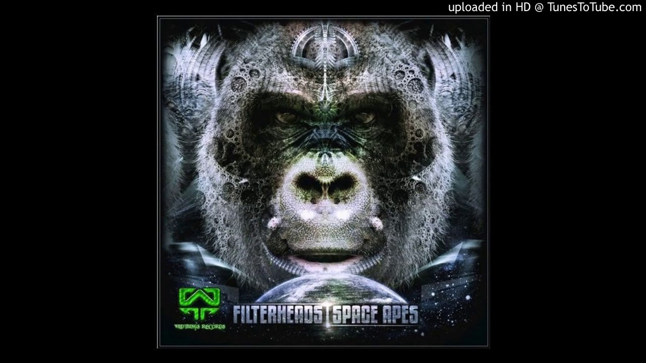 Filterheads - Wasteland