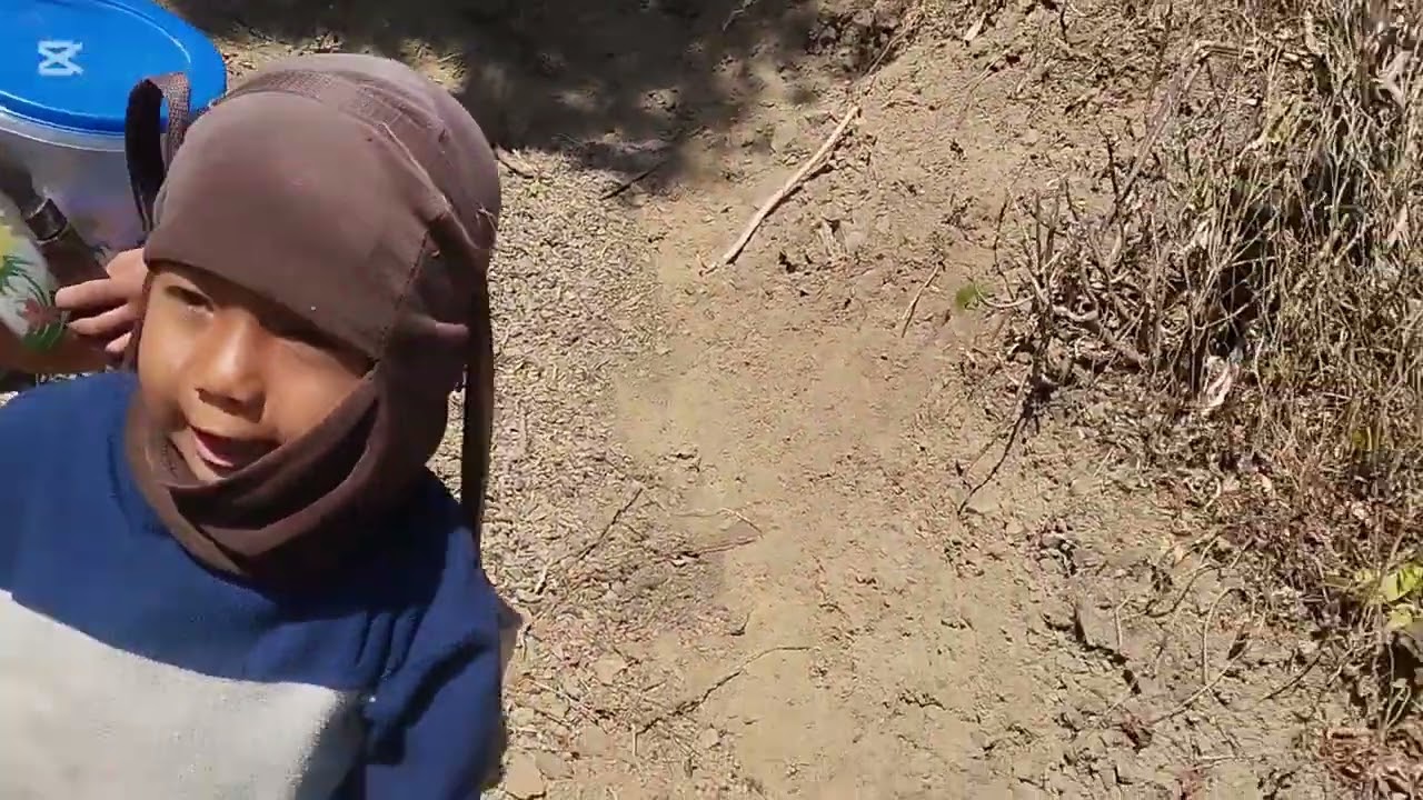 चिसो मौषम मा मौरीलाई न्यानो पार्ने  उत्तम उपाए #bee#keeping #honey #nature #padamvlog760