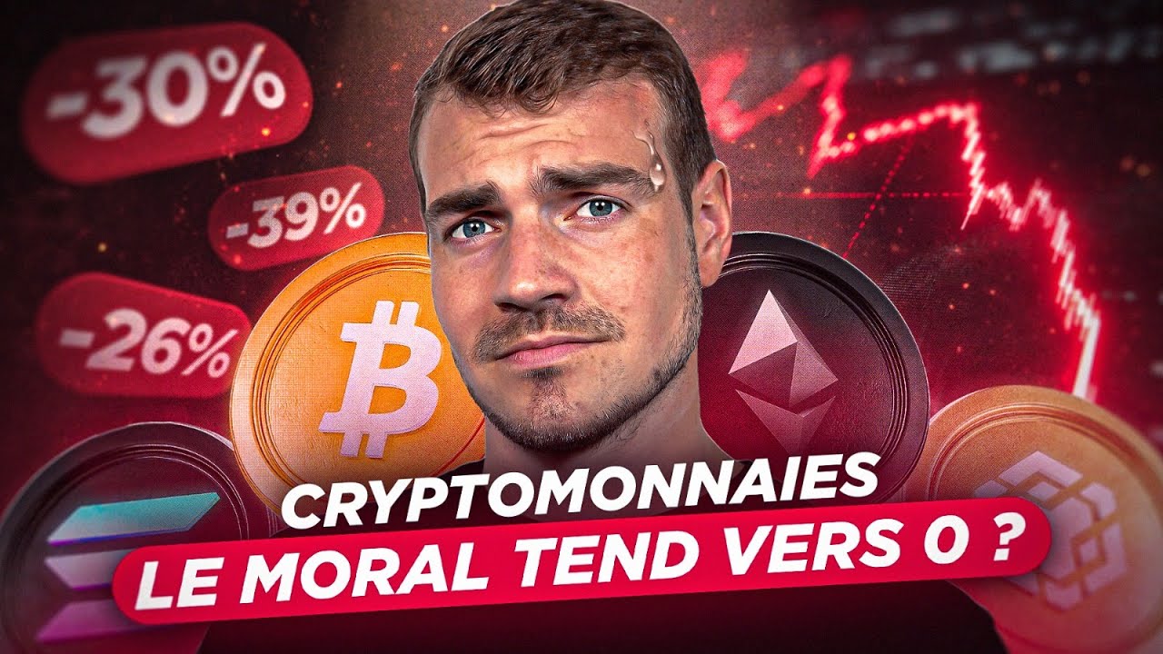 Baisse g&eacute;n&eacute;rale, peur extr&ecirc;me. Que se passe-t-il sur les cryptos ? 