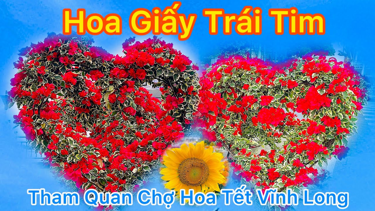 Hoa Giấy Trái Tim Tham Quan Chợ Hoa Tết Vĩnh Long || TDLVL