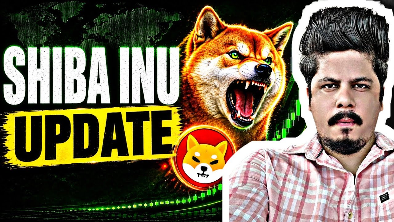 Shiba Inu Update