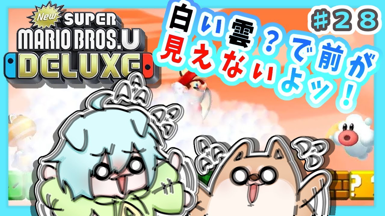 下手だから前が見えないとか…致命的だよッ！【マリオブラザーズUデラックス】